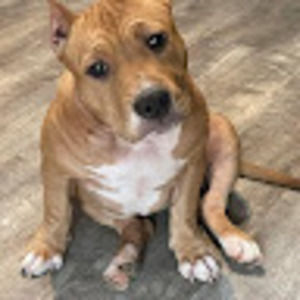 Meet your Posher, Elaine